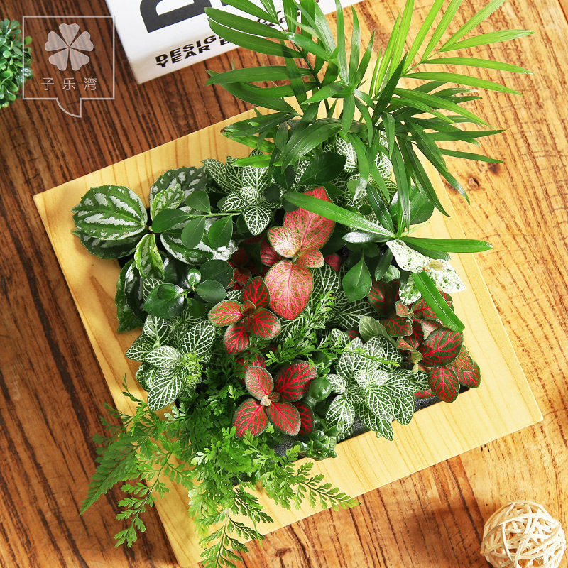 ����������������