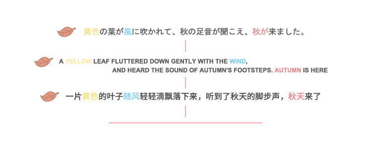 Pyjama mixte OTHER   en Coton à manches longues - Ref 3005965 Image 9