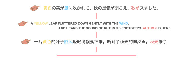 Pyjama mixte OTHER   en Coton à manches longues - Ref 3005041 Image 13