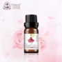 Elaine Jiao Xue Jane love tinh dầu hoa hồng 10ml sản phẩm chăm sóc da bằng dầu thơm dưỡng ẩm giữ ẩm hợp chất làm trắng da tinh dầu hoa nhài