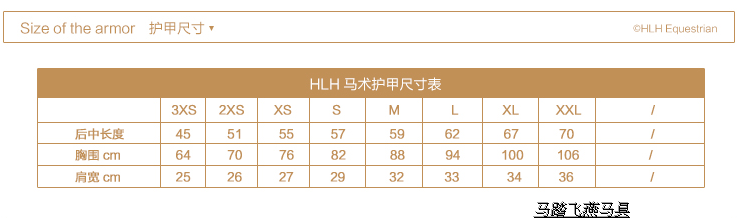 Article sports equestres FEIYE - Ref 1381534 Image 6