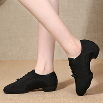 Female Adults Square Latin Dance Shoes Two Points Soft-bottom Teachers Dancing Shoes Net Face ballroom Dancing Shoes New