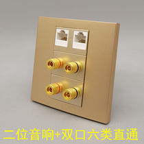 Golden 86-two-group sound double-opening six-type network straight-through RJ45 network wire one thousand trillion CAT6 straight insertion panel socket