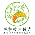 贼拉好土特产店的LOGO