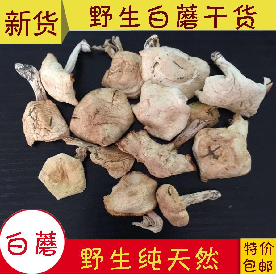 Dry new cargo of white mushrooms on the dam Chengde paddock specialty of the wild grassland Xiao white mushroom bacteria 250g