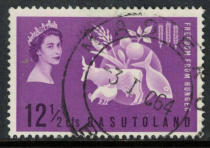 British Basudolan 1963 Anti-hunger campaign pin 1 full (post)