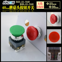 KAIKUN KACON mushroom head push button switch B25-21-N40 B30-21-N40 six-color standard 1 on 1 off