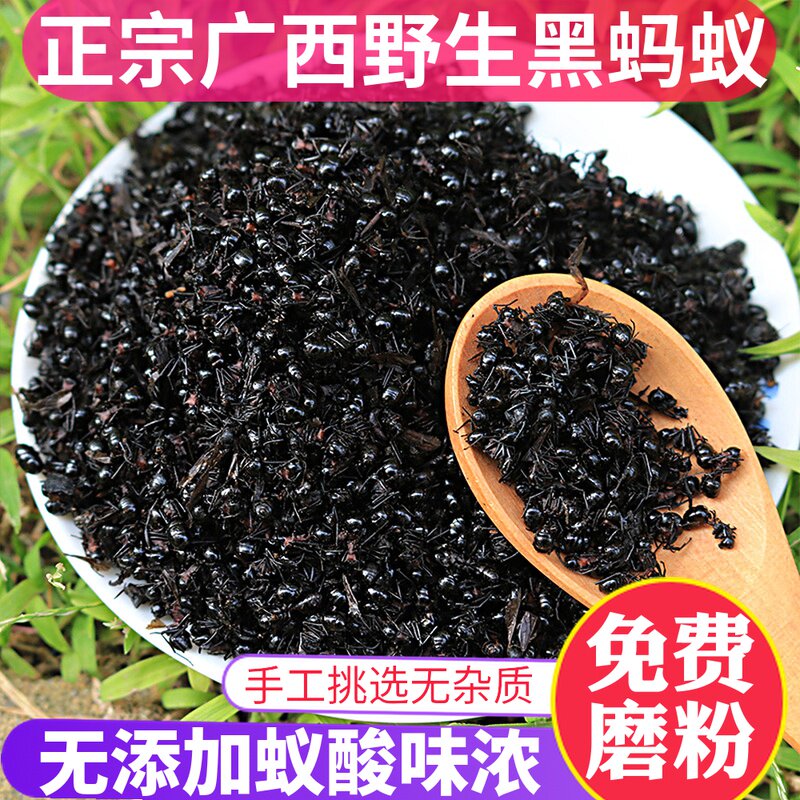 Guangxi black ants dried big mountain ants to be black spiny ants joint pain Chinese herbal medicine soaking wine 100g