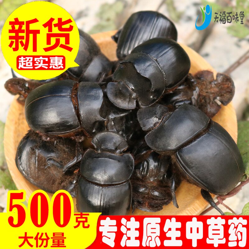 New goods dung beetle Chinese herbal medicine general push dung worm push dung worm doll dung beetle worm water without salt 500g