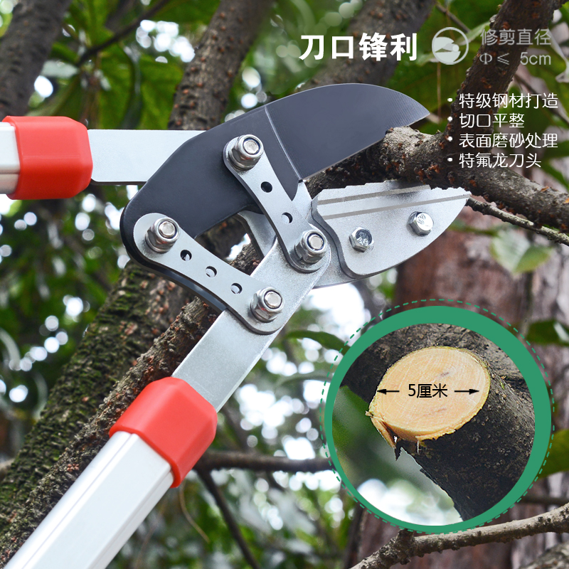 Imported coarse branch shears High branch pruning shears branches Fruit trees greening garden art scissors Telescopic strong shear garden tools