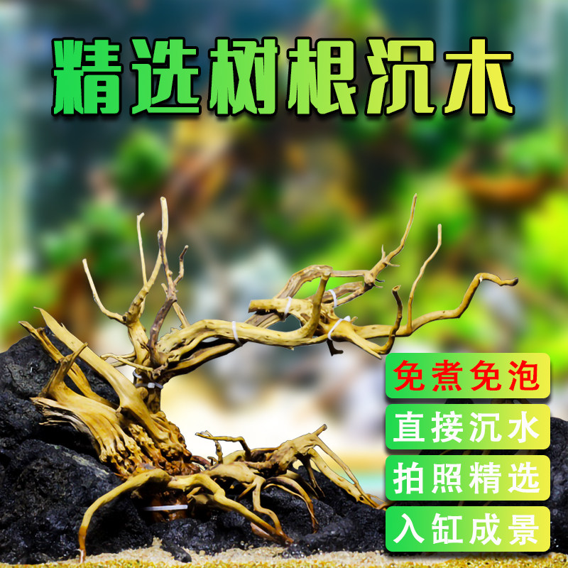 Landscape special sink wood Random delivery Moss tree water grass tank Landscape package Rhododendron root tree-shaped sink wood