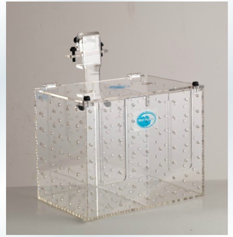 Acrylic Segregated Box Ovalized Box Fish Shrimp Isolated Hatchbox 25 * 15 * 19CM 2 Gdoor Movable