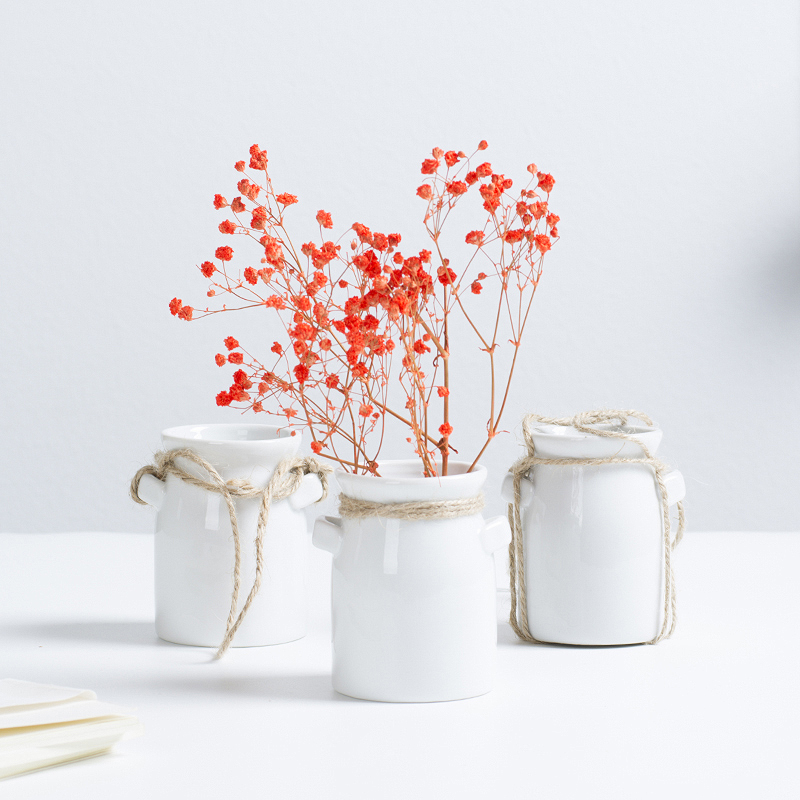 Ins nội thất Bắc Âu trang trí hai nhân cách bình mini trang trí sáng tạo chai hương liệu khô hoa bình - Vase / Bồn hoa & Kệ chậu cây cảnh bằng gốm sứ