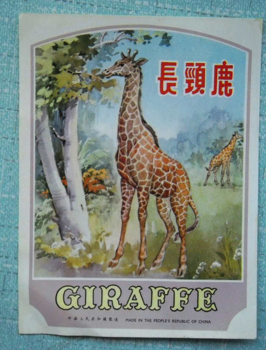 The old trademark-the giraffe of the giraffe