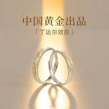 Chinese Gold Treasure Silver Couple Ring, Sterling Silver Ring, Pair Style 520, Valentine's Day Gift for Girlfriend 1693