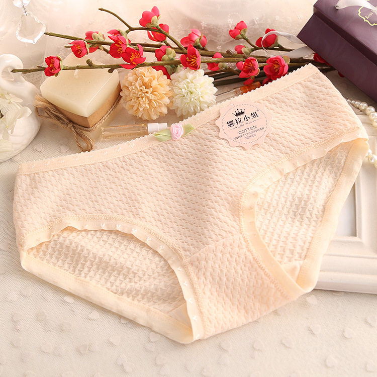 Slip D006 en coton - Ref 646510 Image 27