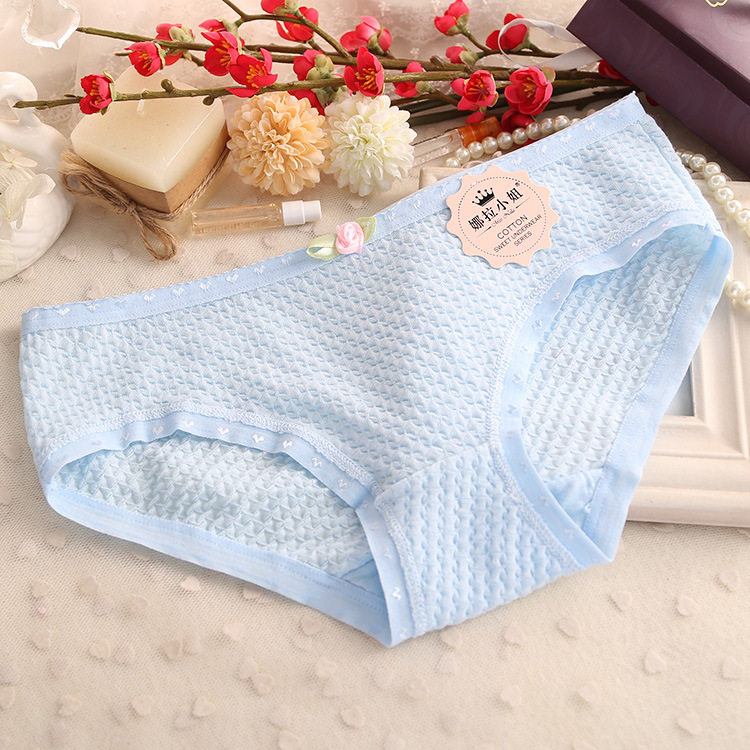 Slip D006 en coton - Ref 646510 Image 23