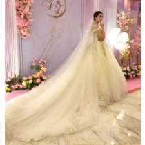 Bride Wedding Main Wedding Dresses Stars Empty Heads of Fairy Champagne champagne Veil Bride Long trailing Korean Wedding Dresses