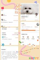 Hangzhou inner cat dog goes door to door to feed 13 years of support experience