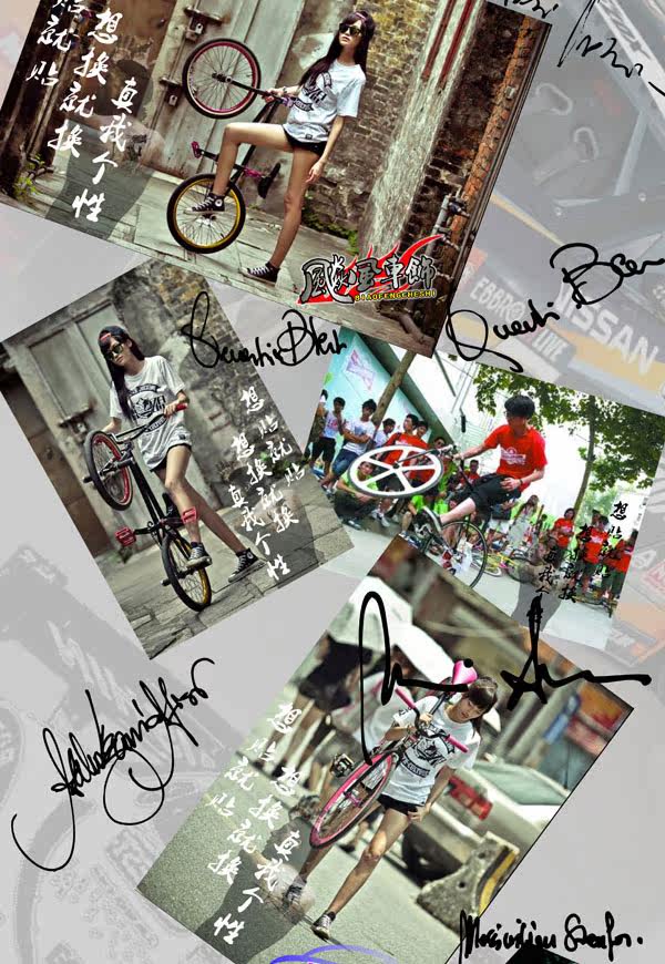 Sticker pour vélos - Ref 2278277 Image 11