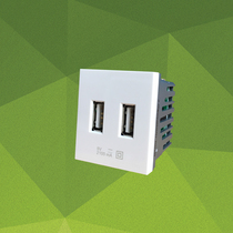 CHINT switch socket 118 type NEW5G dual USB socket 5G13310 dual USB power outlet module