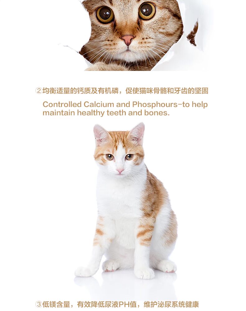 Thức ăn tự nhiên cho mèo phổ biến đi bóng sang trọng mèo chín loại thịt mèo không có hạt chọn miệng tất cả mèo số lượng lớn mèo thành mèo 5 kg - Gói Singular hạt canin