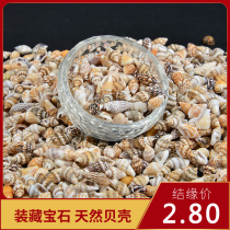 Buddha statues pagodas mantra trays storage supplies seven gemstones small natural shells 2 8 yuan 1 tael