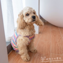 GINGERAIN Cocker Dog Clothes Teddy Bears Bears Bomei Cotton Vest Striped Air Conditioning Clothing