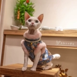 Gingrain Cat Olde Golden Velvet Cheongsam Anty -Lick, сопротивляясь мячу Новый год, плюс бархатный температура безволосочный немецкий