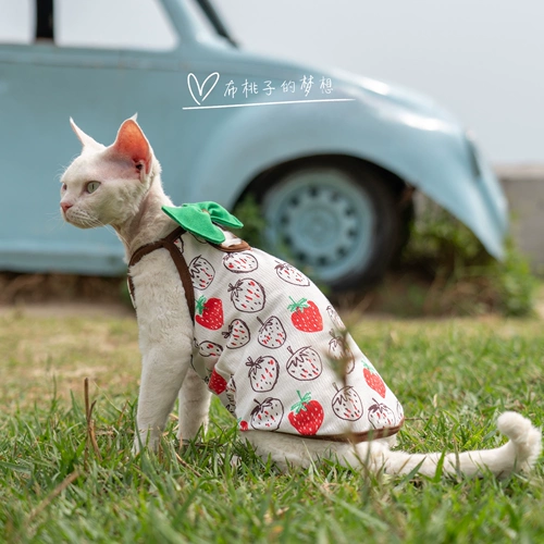 Гингрейн безволосой кошка Camisole German Cat Одежда кошка чистое хлопковое бамбуковое уплотнение качество листьев