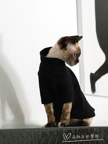 Гингрэйн безволосая одежда для кошки немецкая одежда для кошки, спонтанное жар, грязь, хорошая промывка, нет деформации внутри