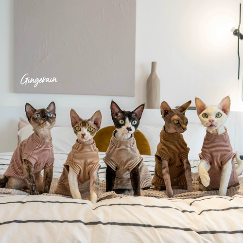 Gingrain Немецкая одежда для кошки безволосы