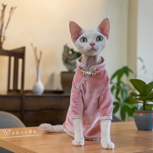 Джинджер-кошачья одежда Dewen Cat Cheongsam бархатный кружев