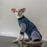 Gingrain Немецкий кот -кошка Абушиан Восточный Коротко -Хишеной Кошачья одежда Защитите живот, чтобы сохранить теплый четырехлетний эластичный свитер