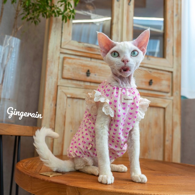 GINGERAIN love doll shirt hairless cat Devon cat clothes summer loose breathable vest ຝ້າຍ