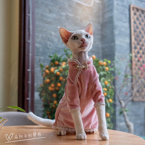 Джинджер-кошачья одежда Dewen Cat Cheongsam бархатный кружев