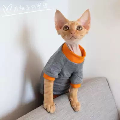 GINGERAIN Devon Cat Clothes Sphinx Hairless Cat Kennis Stretch Sweatshirt