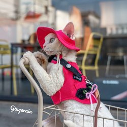 GINGERAIN ຕັ້ງແຄ້ມນອກແບບ Cowboy Cat Harness Leash Set German Hairless Cat Vest