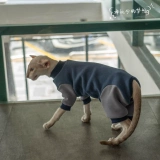 Gingrain Немецкий кот -кошка Абушиан Восточный Коротко -Хишеной Кошачья одежда Защитите живот, чтобы сохранить теплый четырехлетний эластичный свитер