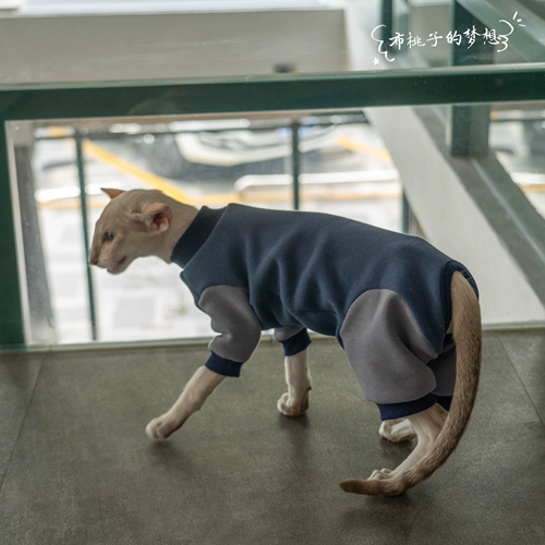 Gingrain Немецкий кот -кошка Абушиан Восточный Коротко -Хишеной Кошачья одежда Защитите живот, чтобы сохранить теплый четырехлетний эластичный свитер