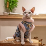 Gingrain Cat Olde Golden Velvet Cheongsam Anty -Lick, сопротивляясь мячу Новый год, плюс бархатный температура безволосочный немецкий