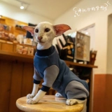 Gingrain Немецкий кот -кошка Абушиан Восточный Коротко -Хишеной Кошачья одежда Защитите живот, чтобы сохранить теплый четырехлетний эластичный свитер