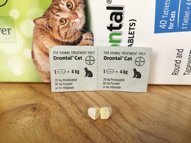 Nhỏ chín bảo đảm xác thực Đức tẩy giun nội bộ cơ thể mèo tẩy giun - Cat / Dog Health bổ sung sữa cho chó mẹ