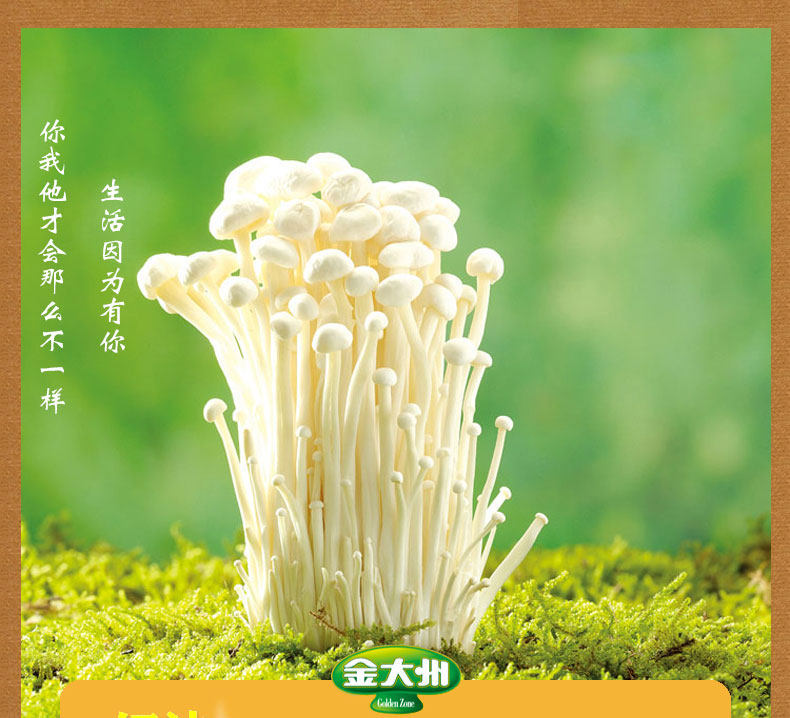 Enoki Mushroom Change_01.jpg