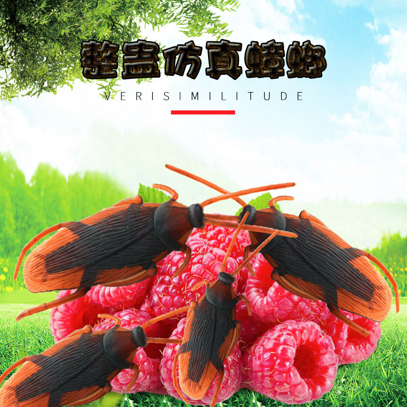 Children's creative whole person spoof simulation little cockroach boys and girls toys wholesale kindergarten birthday gift hot sale