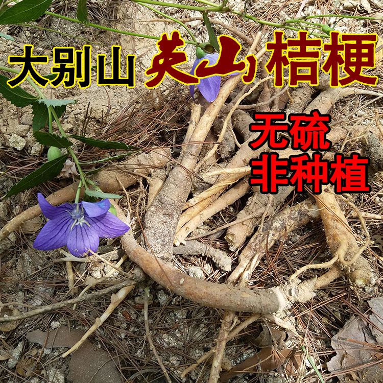 Chinese herbal medicine farmer's self-picking bellflower non-planting bellflower dry deep mountain bellflower slice Yingshan bellflower can be ground 500g