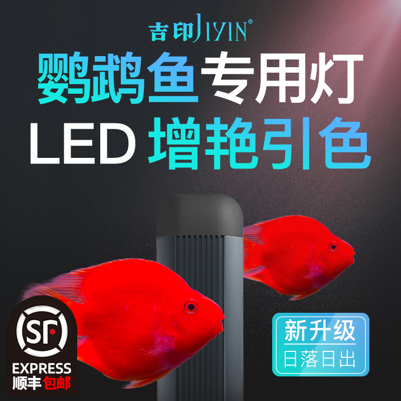 Jiyin blood parrot fish special lamp color enhancement color enhancement hair color red aquarium lamp fish tank lamp LED professional light