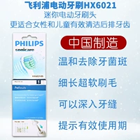 HX6021