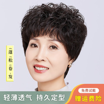 Wig Lady Short Curly Hair Real Hair Middle Aged Whole Headgear Mom Fake Hair Lady Natural Breathable Wig Sleeve