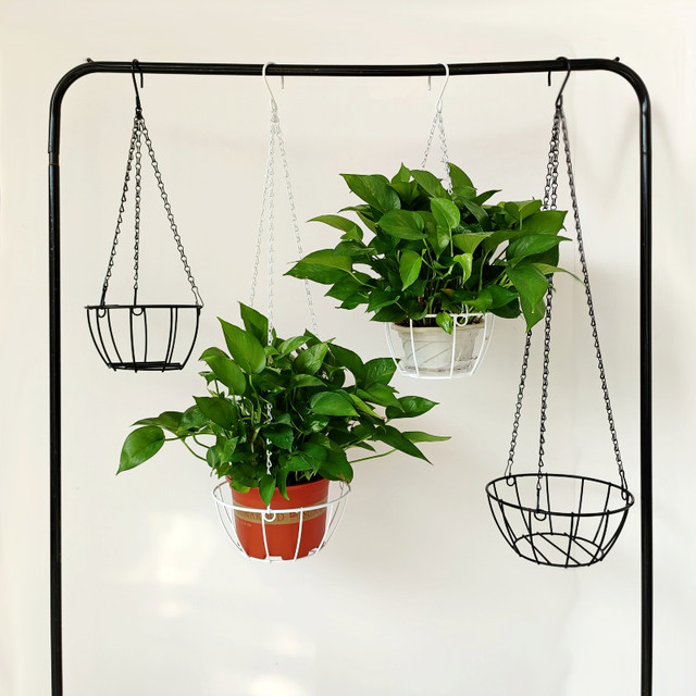 ງ່າຍດາຍທາດເຫຼັກ hanging basket hanging flower pot hanging rack green dill potted hanging basket hanging balcony flower stand rack ຕົ້ນໄມ້ສີຂຽວ